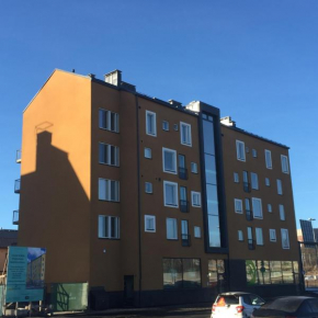 Sunshine Apartment in Turku